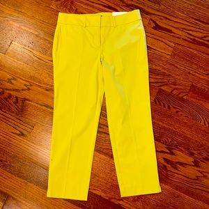Ann Taylor cropped pants